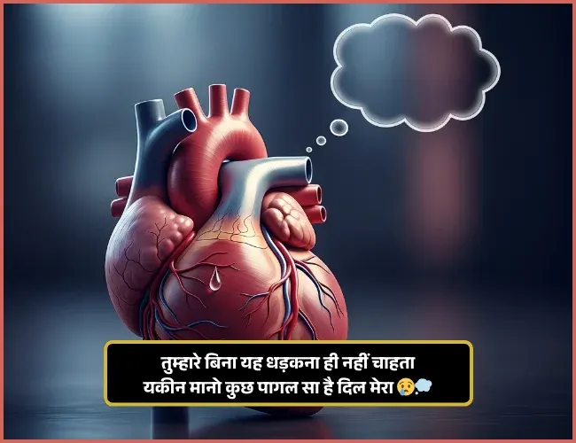 Broken Heart Shayari Broken Heart Shayari