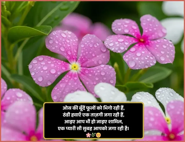 Good Morning Shayari